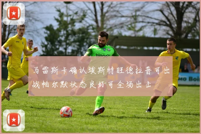 马雷斯卡确认埃斯特旺德拉普可出战帕尔默状态良好可全场出击