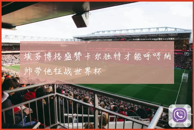 埃芬博格盛赞卡尔独特才能呼吁纳帅带他征战世界杯