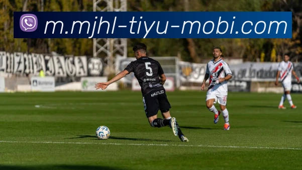 麻将胡了平台生态图